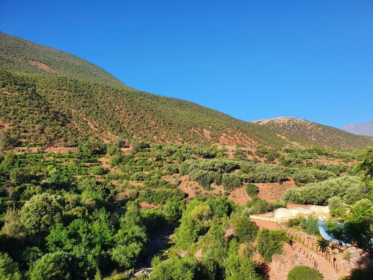 Kasbah Africa Panzió Ouirgane Kültér fotó