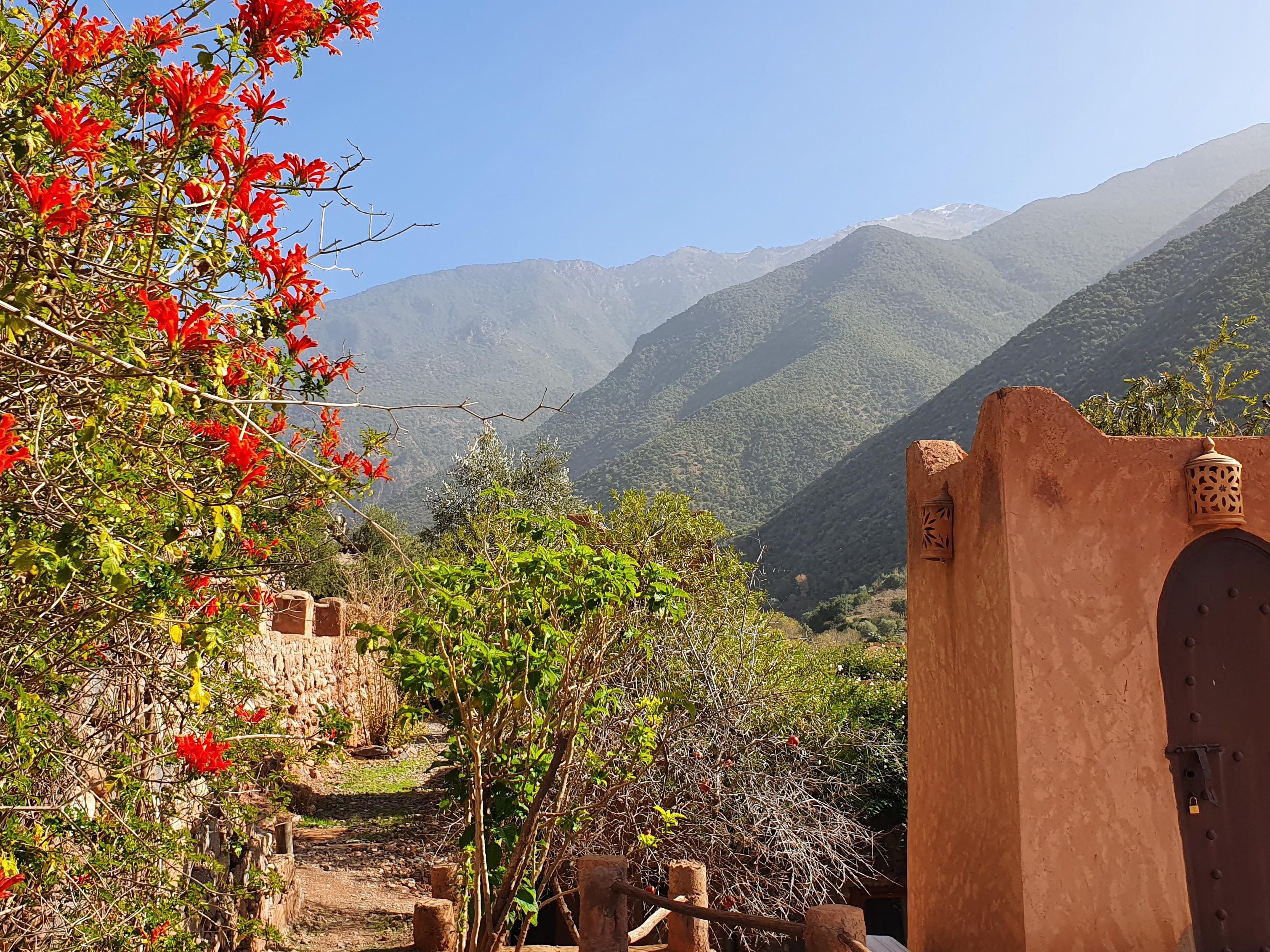 Kasbah Africa Panzió Ouirgane Kültér fotó
